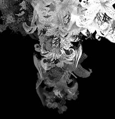 Canzel : Next Season E.P